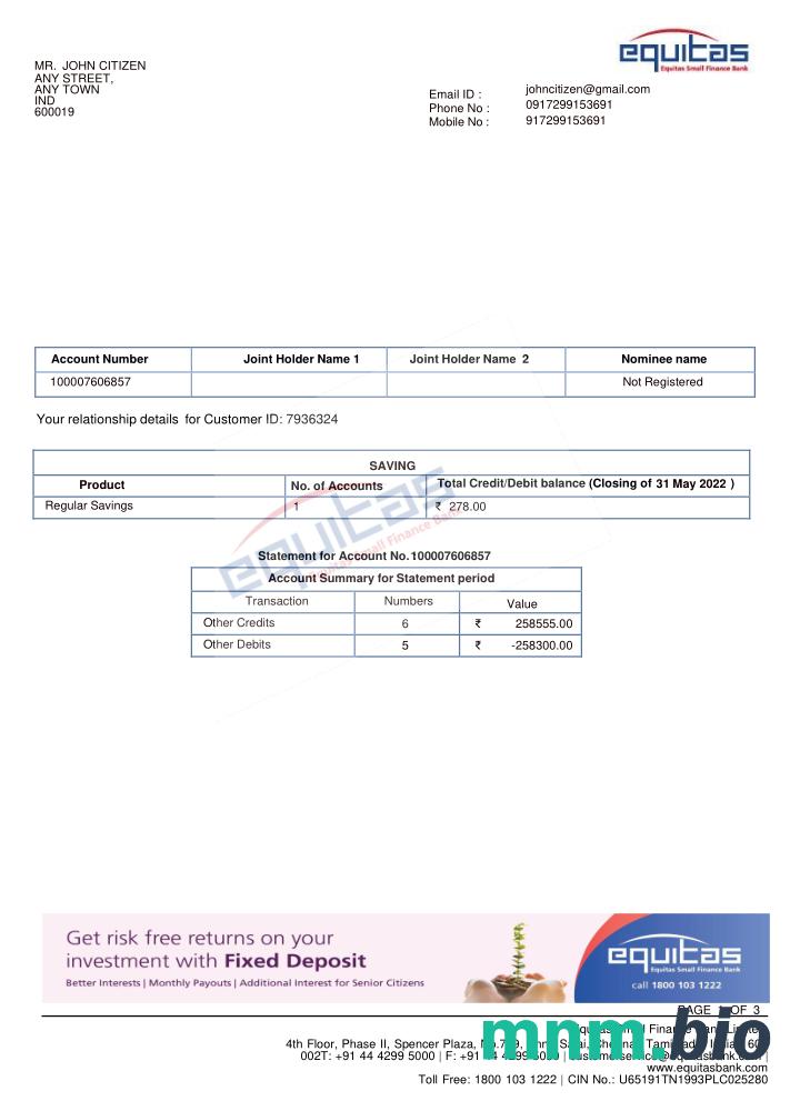 Szablon wyciągu bankowego w Indiach CITIBANK, format Word i PDF
